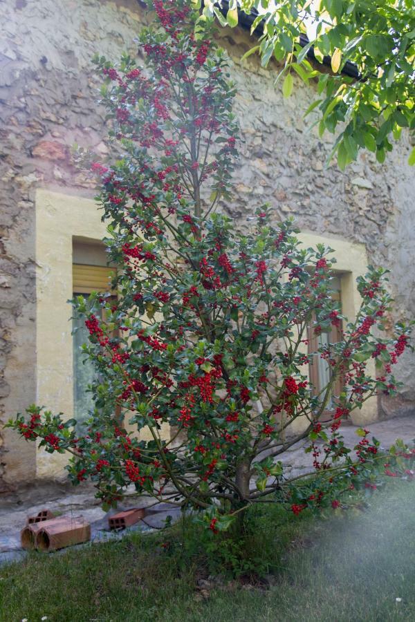Casa Rural El Cedro Abejar Zewnętrze zdjęcie