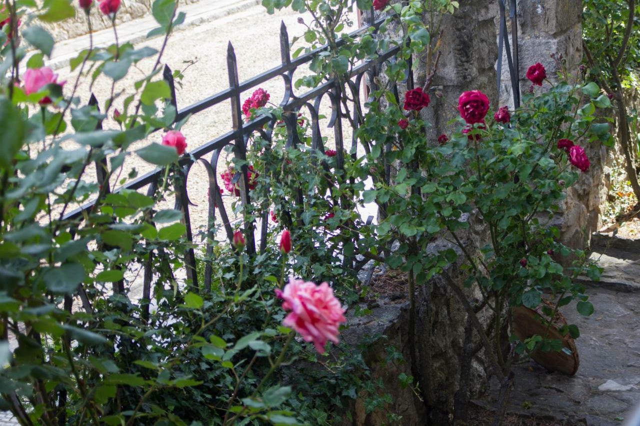 Casa Rural El Cedro Abejar Zewnętrze zdjęcie